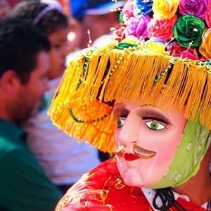 Meet your Posher, Franklin